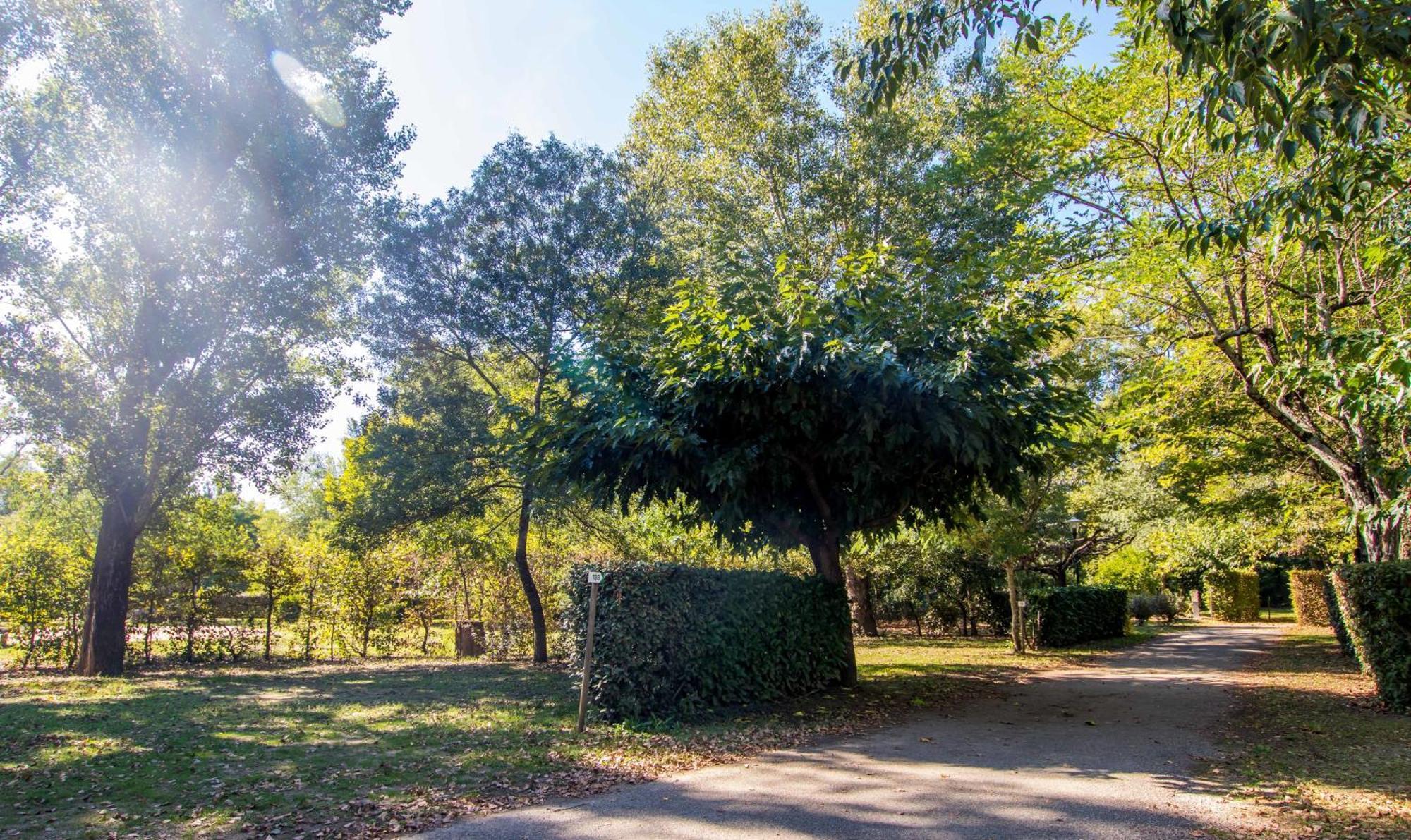 Hotel Du Cros D'Auzon Saint-Maurice-d'Ardeche Екстер'єр фото